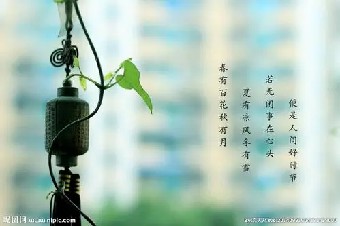真相一桩倍收购案买家竟然惊呼太值了在操盘......《商学院学不到的66个财务真相》摘录